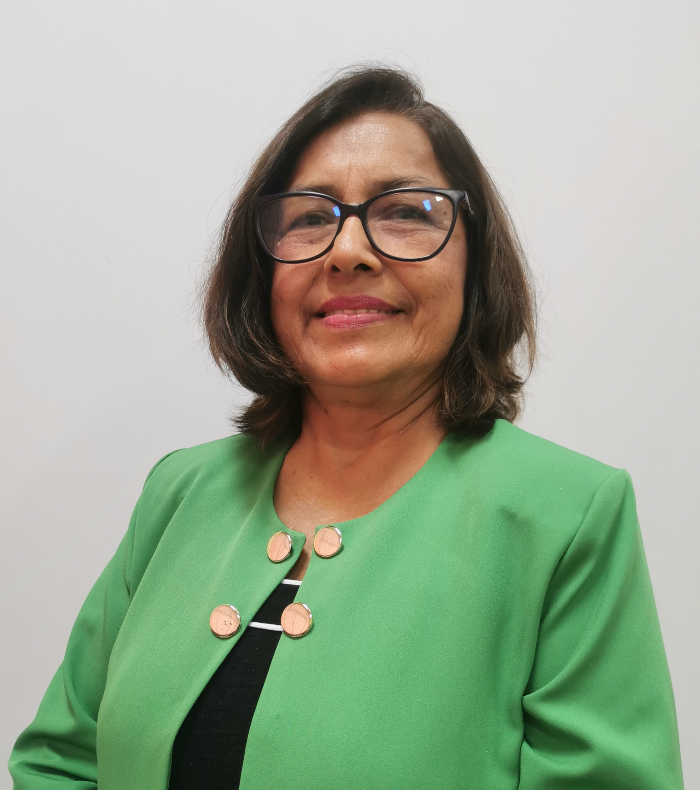 Director del Proyecto